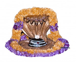 Srisailam-Mallikarjunaswamy1