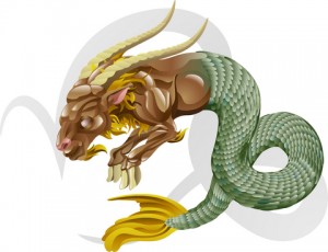 CAPRICORN AB